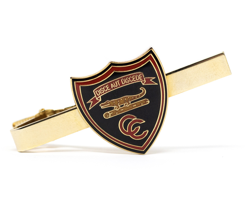 Lapel Pin