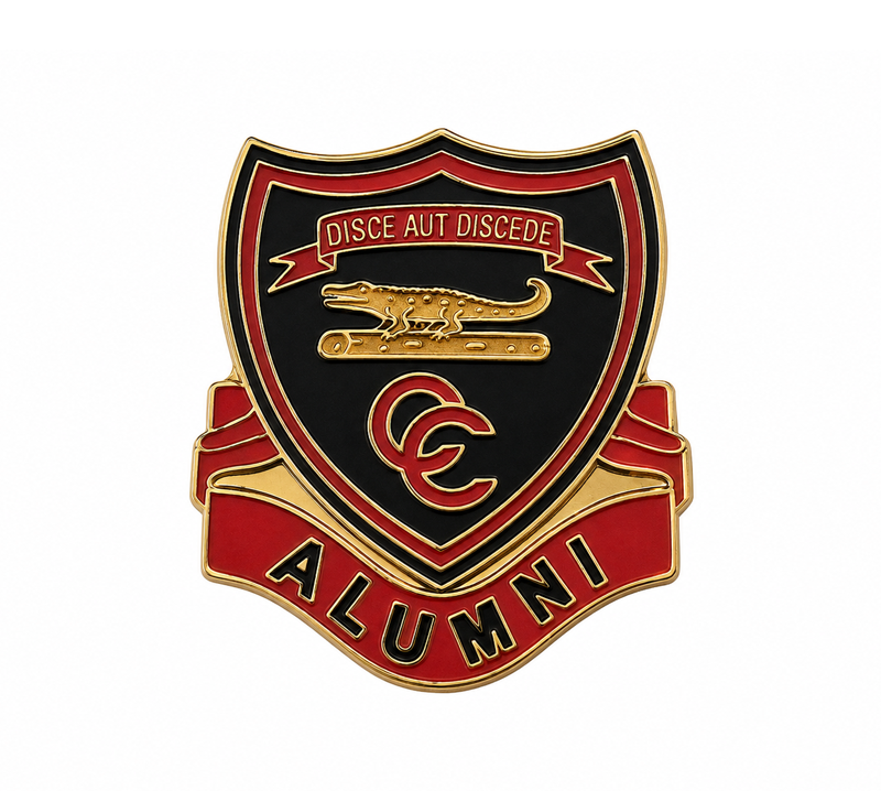 School Pin